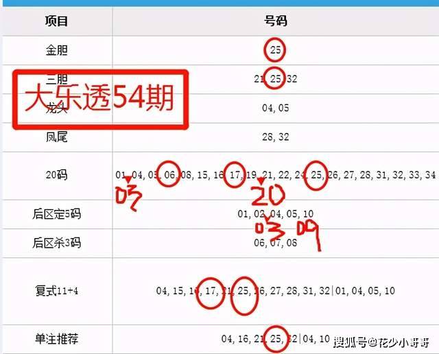 澳门六开奖结果2025开奖记录今晚|精选解释解析落实