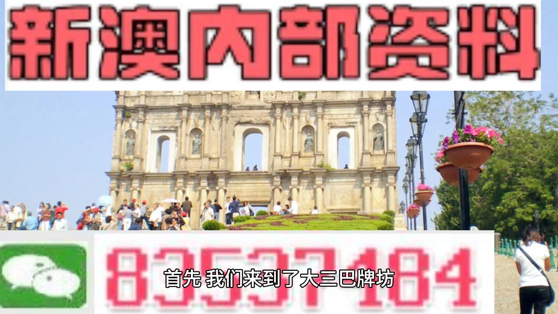 新澳2025年精准资料220期|精选解释解析落实