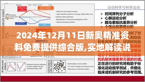 2025新奥资料免费精准071|精选解释解析落实