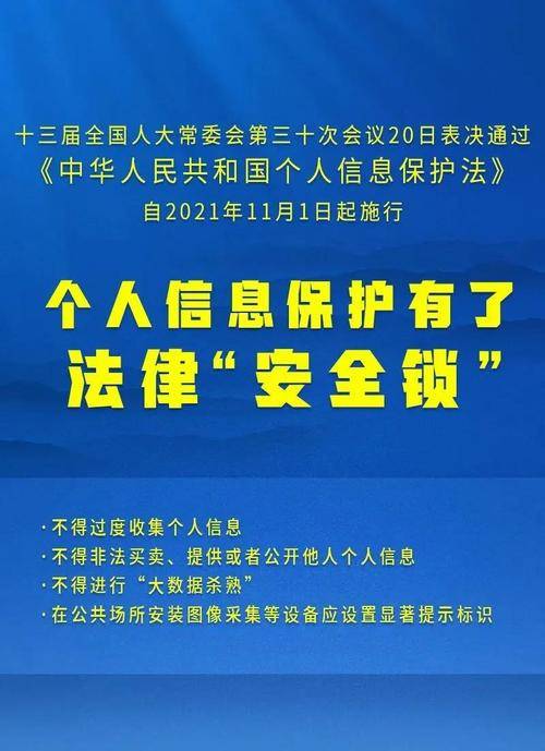 2025年正版资料免费大全特色|精选解释解析落实