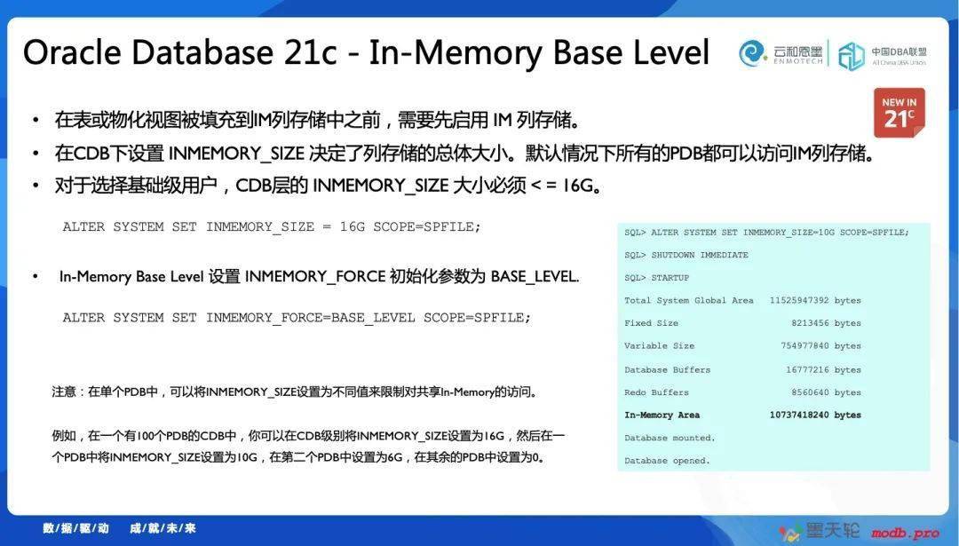 2025新澳正版免费资料的特点|精选解释解析落实